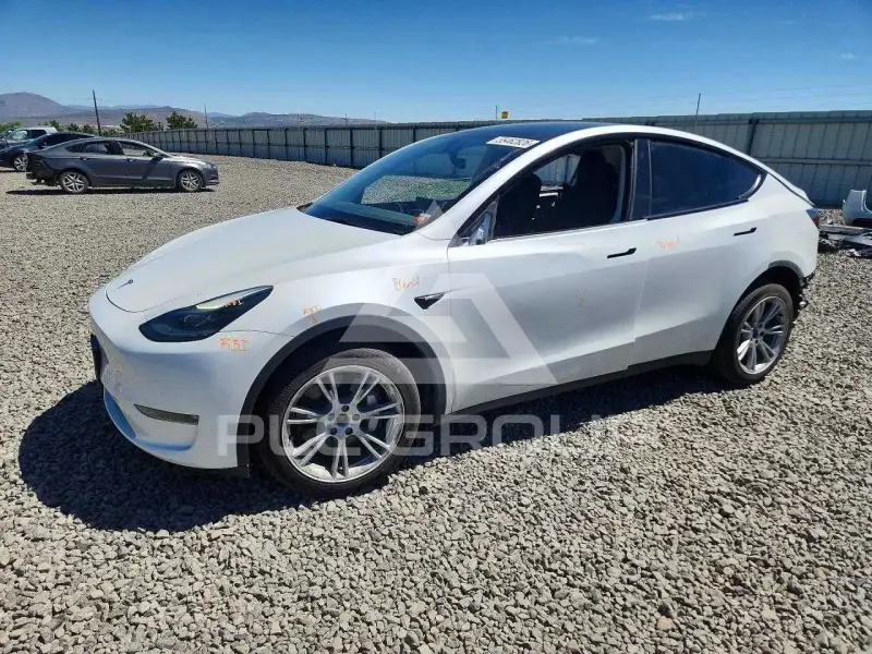 2023 Tesla Model Y photo