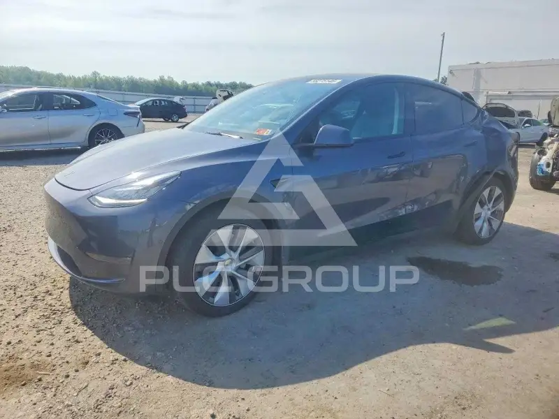 2023 Tesla Model Y фото