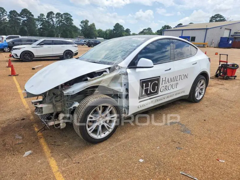 2023 Tesla Model Y photo