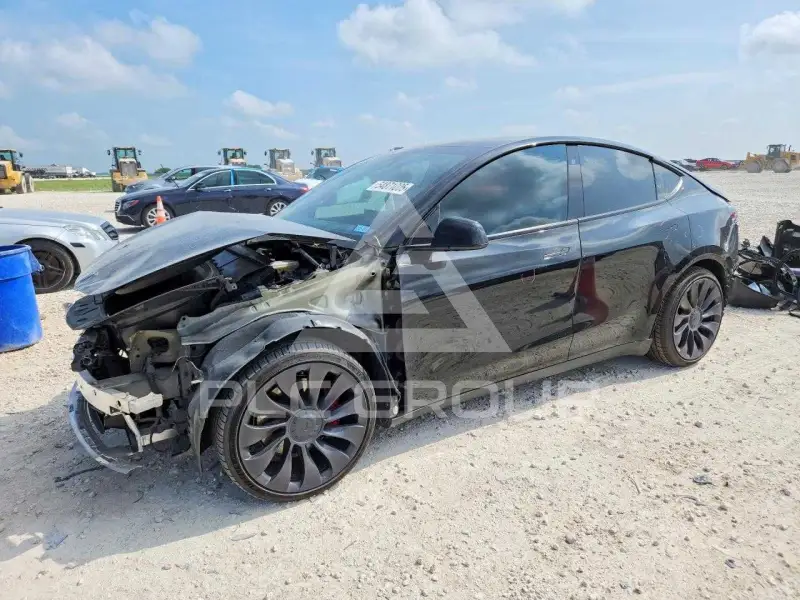 2023 Tesla Model Y photo