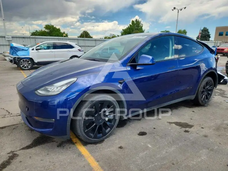 2023 Tesla Model Y фото