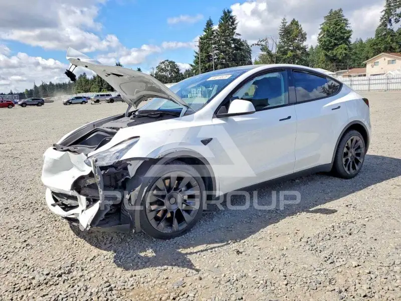 2023 Tesla Model Y фото