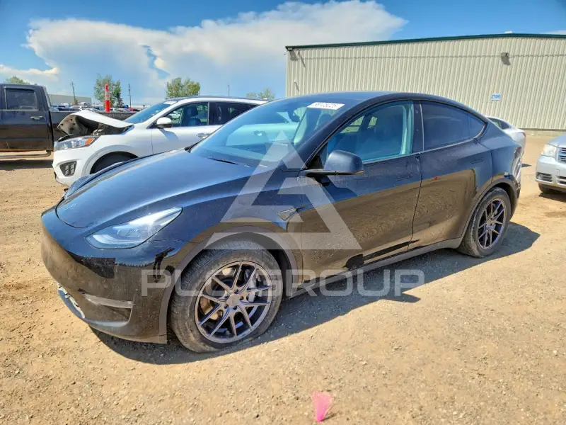 2023 Tesla Model Y фото