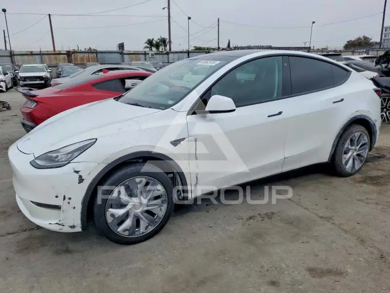 2023 Tesla Model Y photo