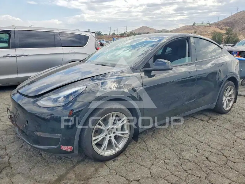 2023 Tesla Model Y photo