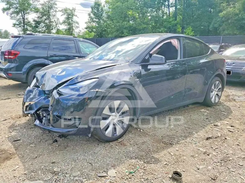 2023 Tesla Model Y photo