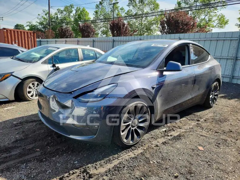 2023 Tesla Model Y фото
