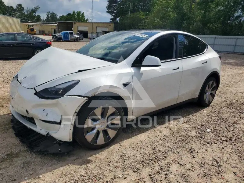 2023 Tesla Model Y photo