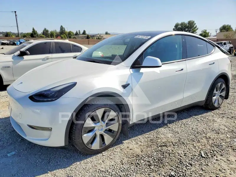 2023 Tesla Model Y photo
