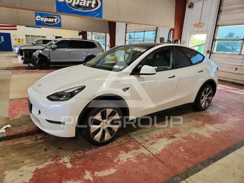 2023 Tesla Model Y фото