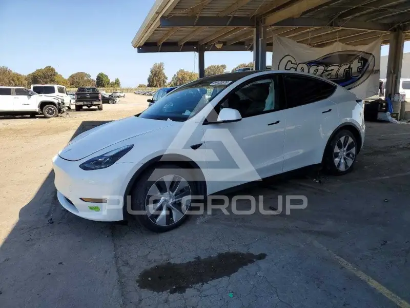 2023 Tesla Model Y photo