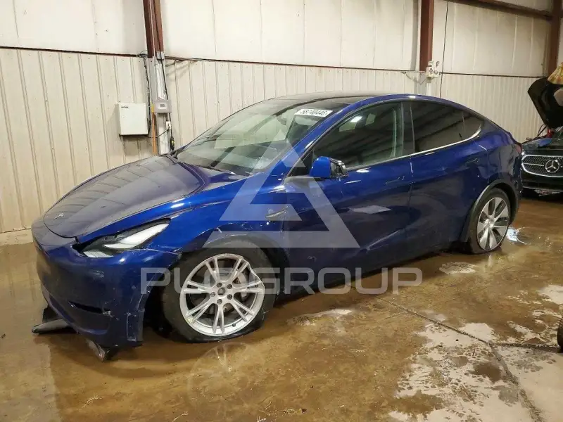 2023 Tesla Model Y photo