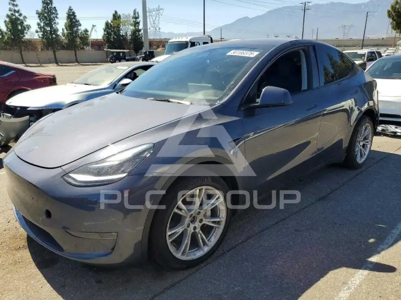 2023 Tesla Model Y photo