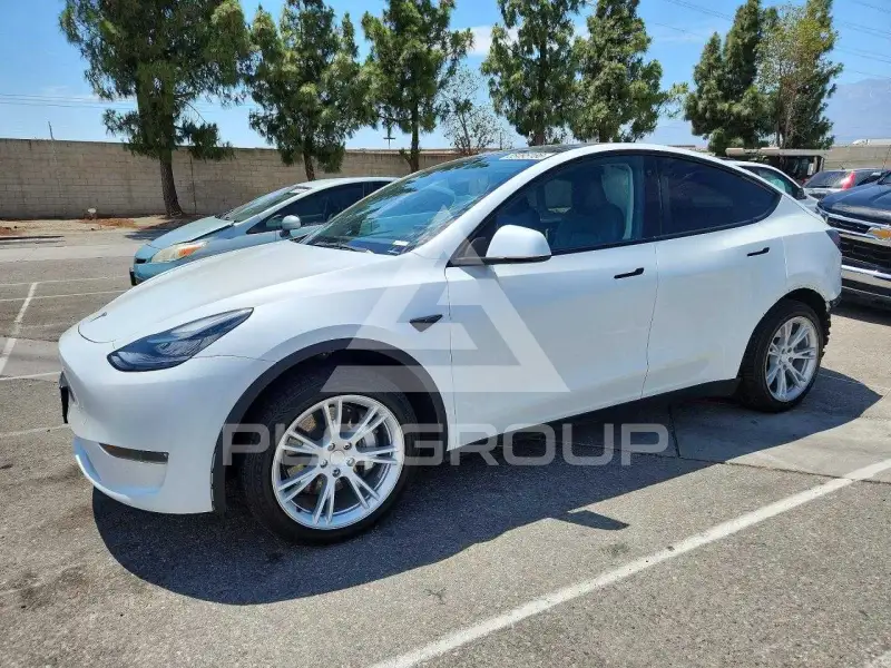 2023 Tesla Model Y photo
