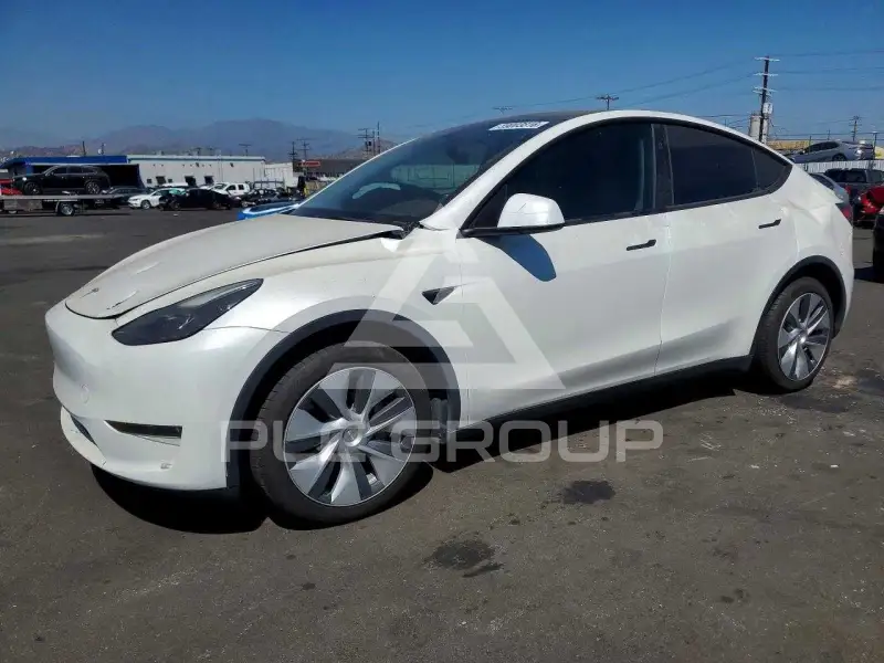 2023 Tesla Model Y фото