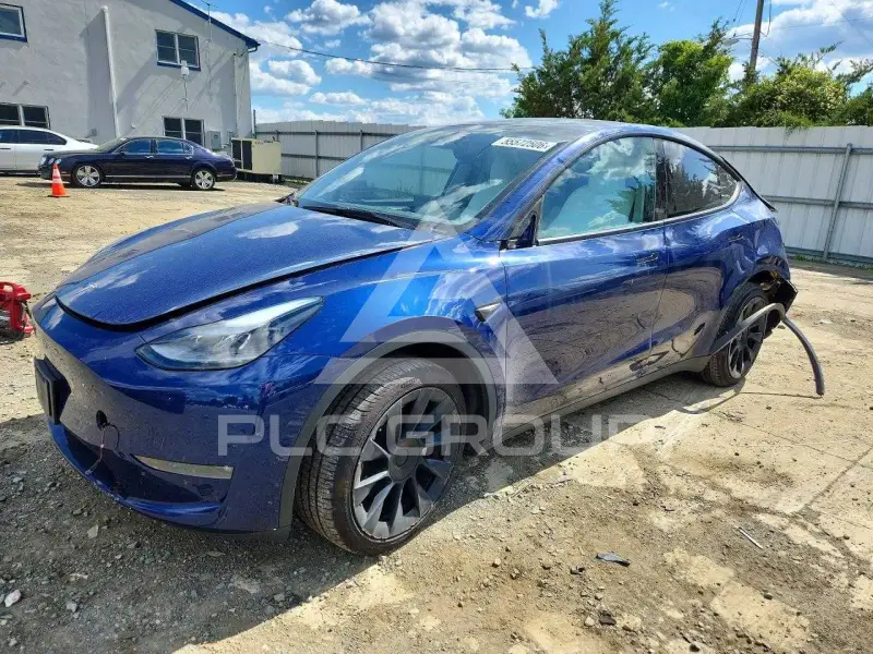 2023 Tesla Model Y фото