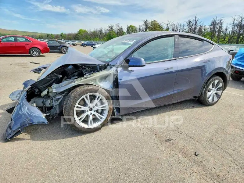 2023 Tesla Model Y фото