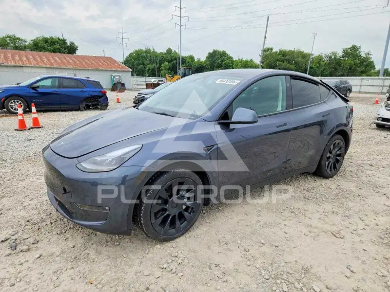 2023 Tesla Model Y photo