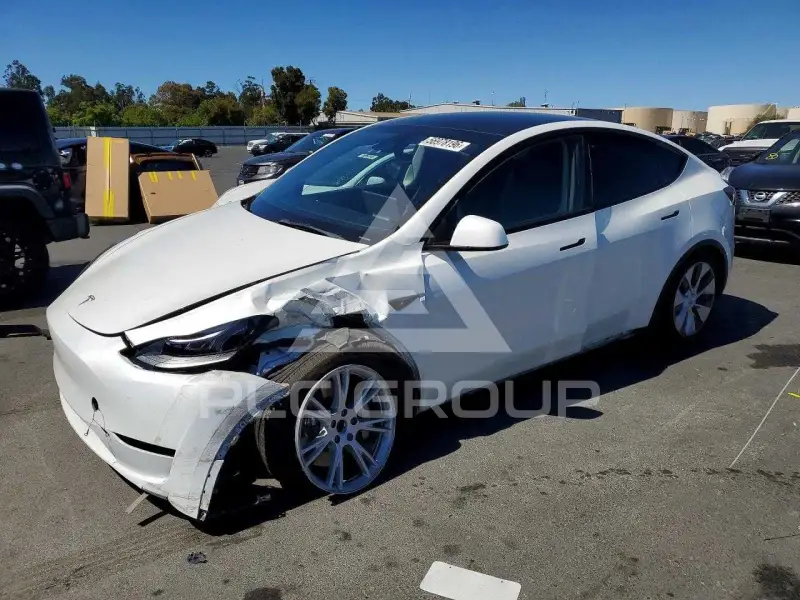2023 Tesla Model Y фото