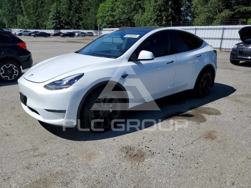 2023 Tesla Model Y фото