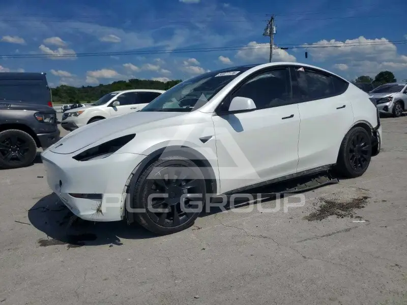 2023 Tesla Model Y фото