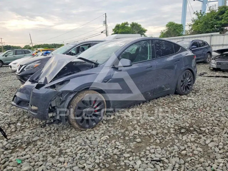 2023 Tesla Model Y photo
