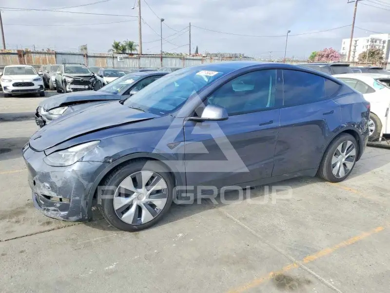 2023 Tesla Model Y photo
