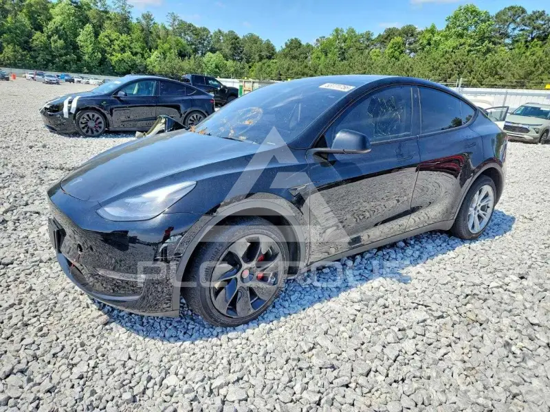 2023 Tesla Model Y photo