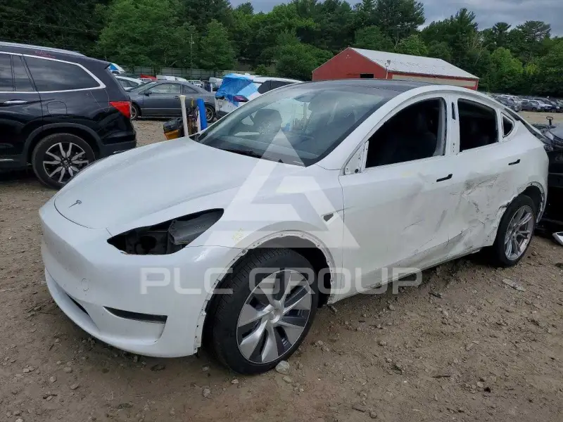 2023 Tesla Model Y photo