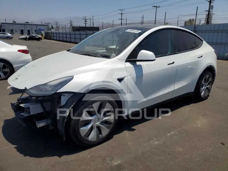2023 Tesla Model Y фото