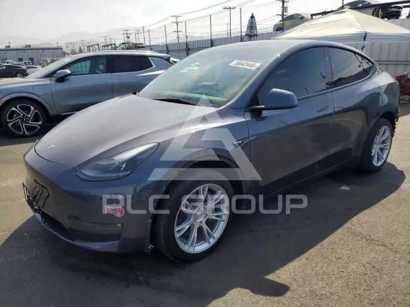 2023 Tesla Model Y фото