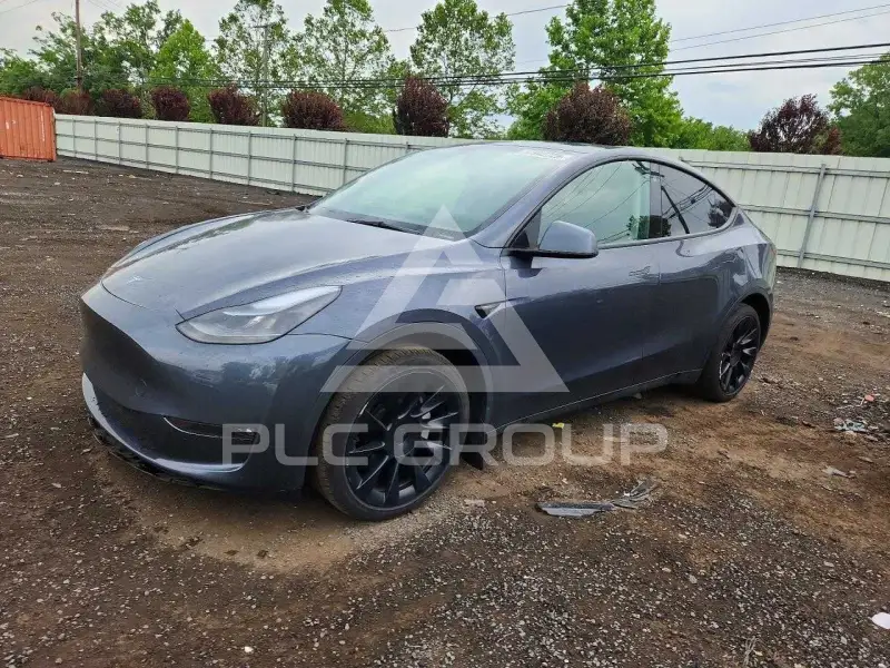 2023 Tesla Model Y фото