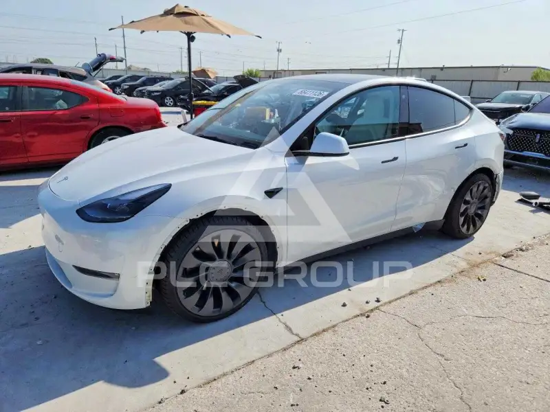 2023 Tesla Model Y фото