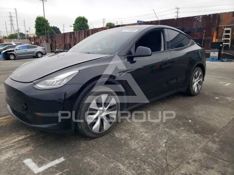 2023 Tesla Model Y фото