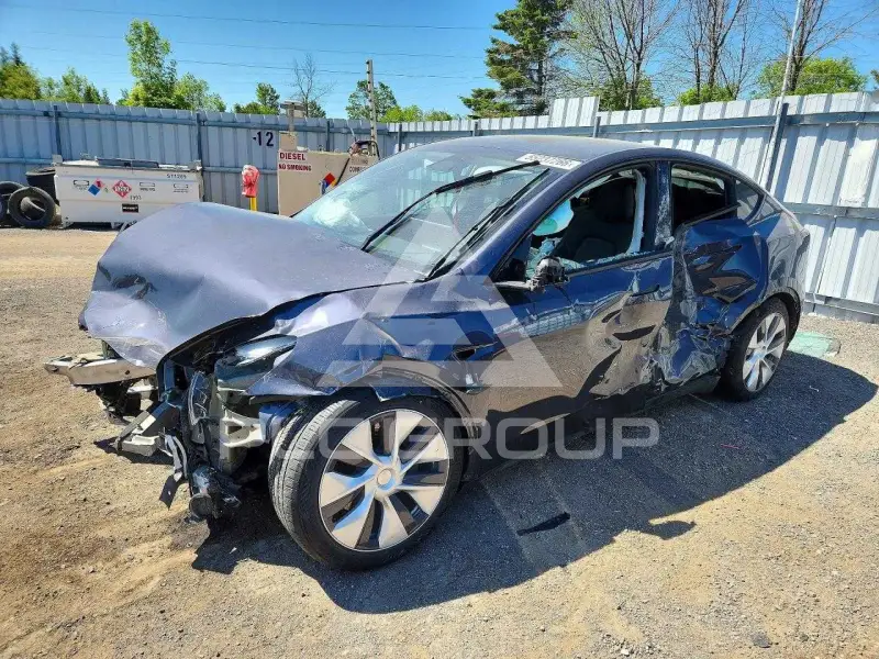 2023 Tesla Model Y фото