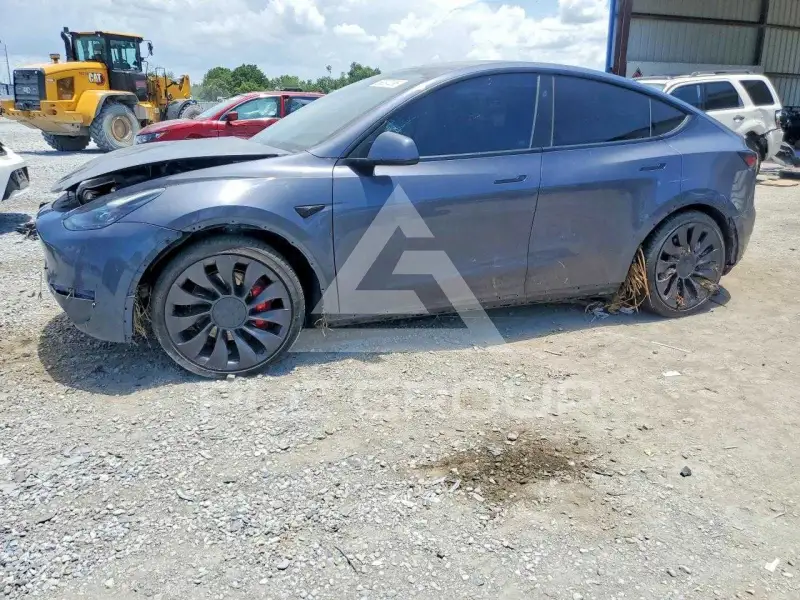 2023 Tesla Model Y photo