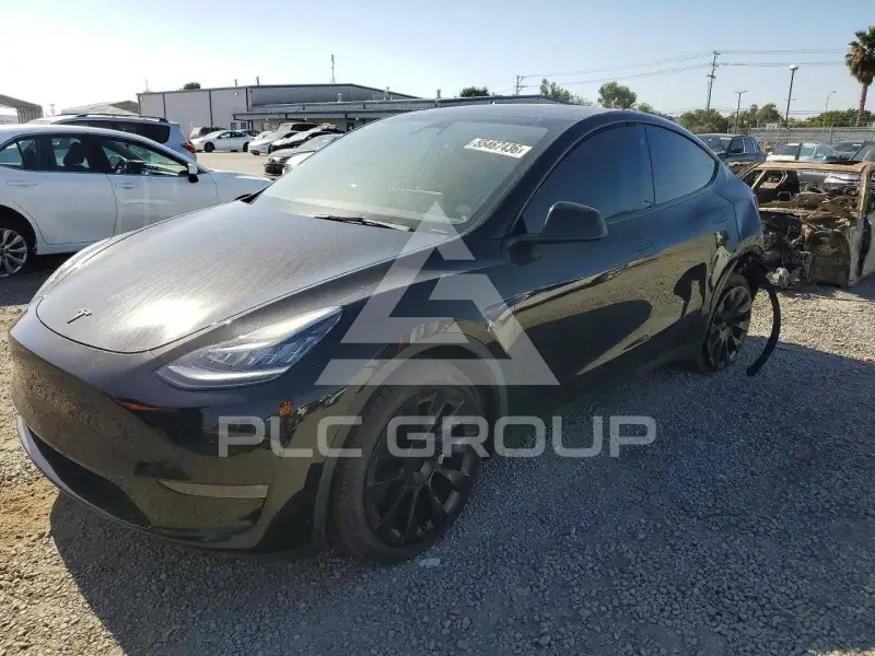 2023 Tesla Model Y фото