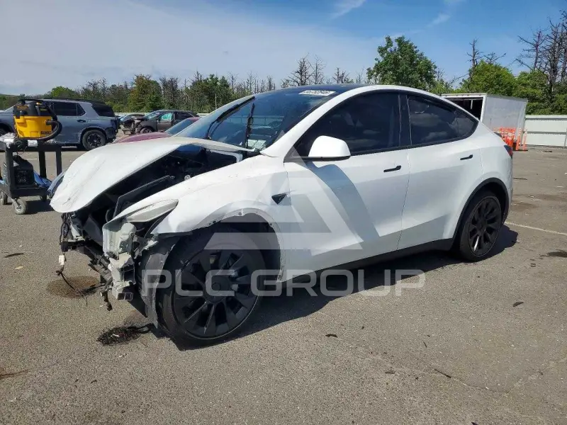 2023 Tesla Model Y фото
