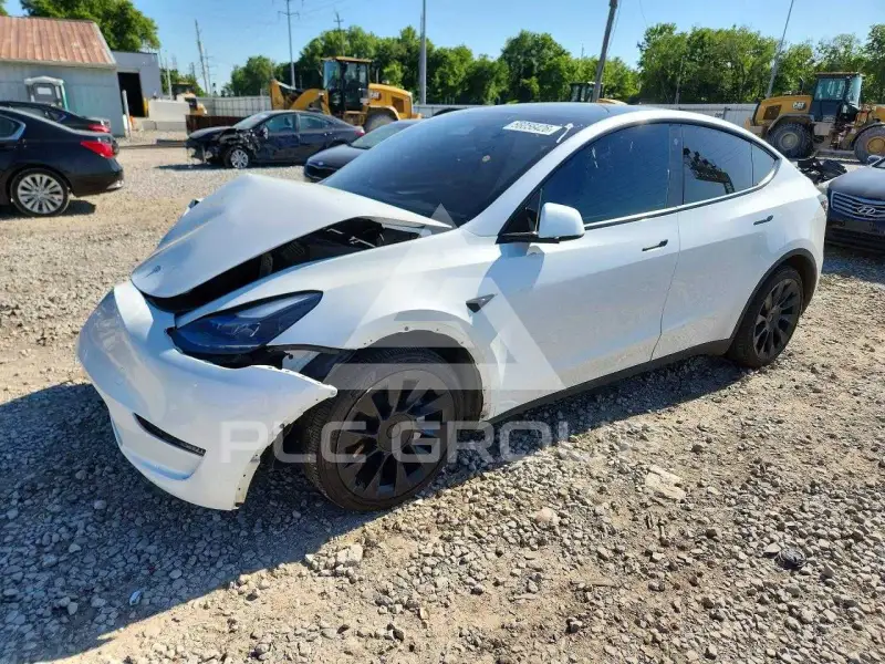 2023 Tesla Model Y photo