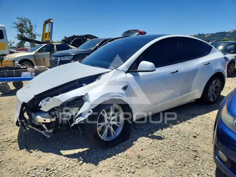 2023 Tesla Model Y photo