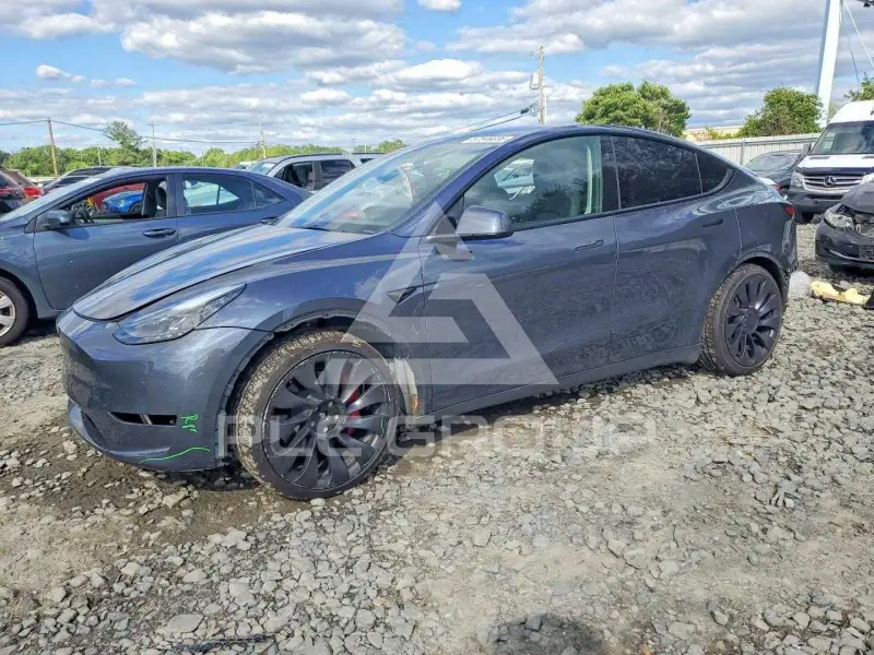 2023 Tesla Model Y photo