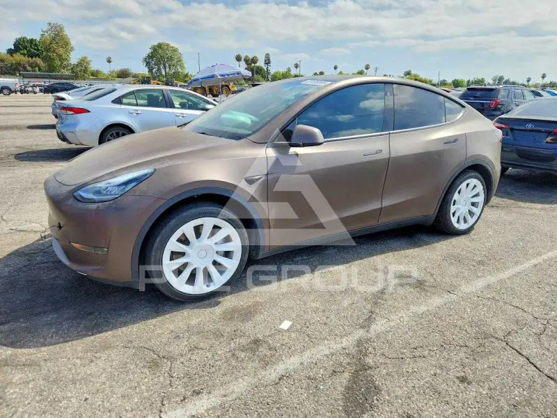 2023 Tesla Model Y photo