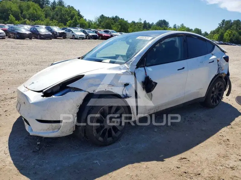 2023 Tesla Model Y photo