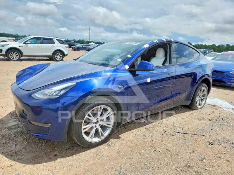 2023 Tesla Model Y photo