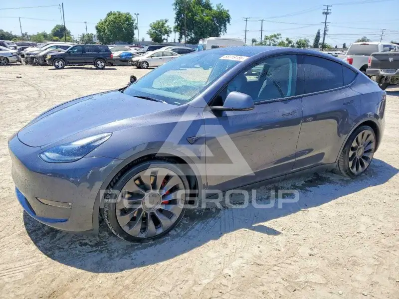 2023 Tesla Model Y photo