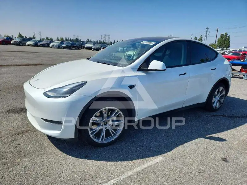 2023 Tesla Model Y photo