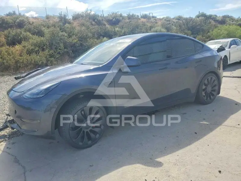 2023 Tesla Model Y фото