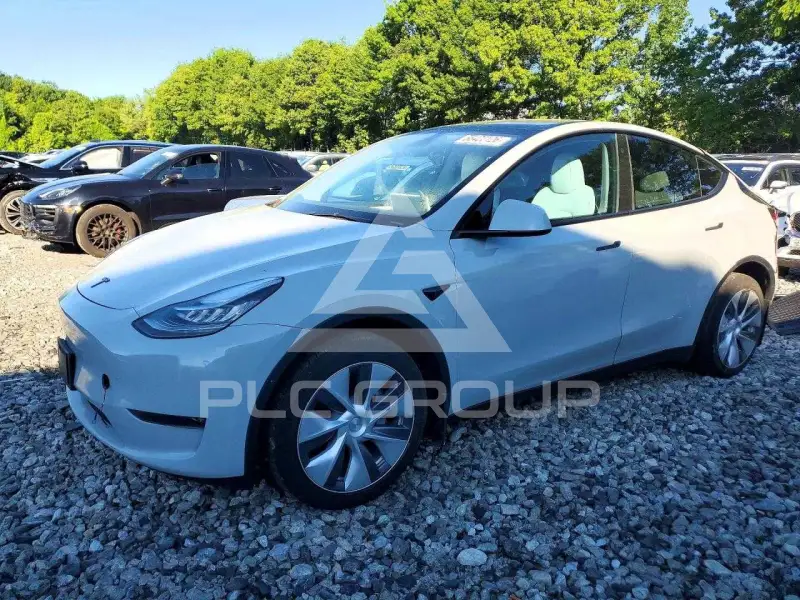 2023 Tesla Model Y photo