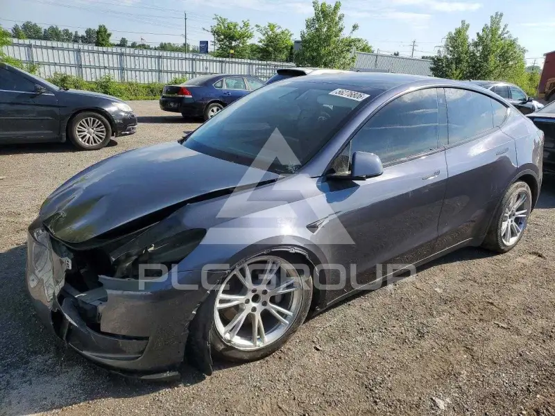2023 Tesla Model Y фото