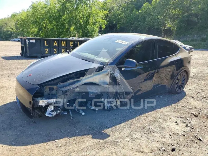 2023 Tesla Model Y photo